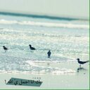 مترفه ♥ (@234aha) Twitter
