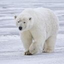 Casey Knight - @CaseyKknight6 - Twitter