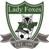 Dutch Fork Lady Foxes Soccer(@DFHSSoccer) 's Twitter Profile Photo