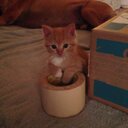 Cheryl Boyd - @ckbcurl - Twitter