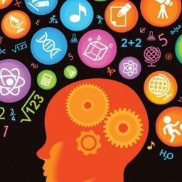 Momentum: STEM Students with Diversabilities at OSU