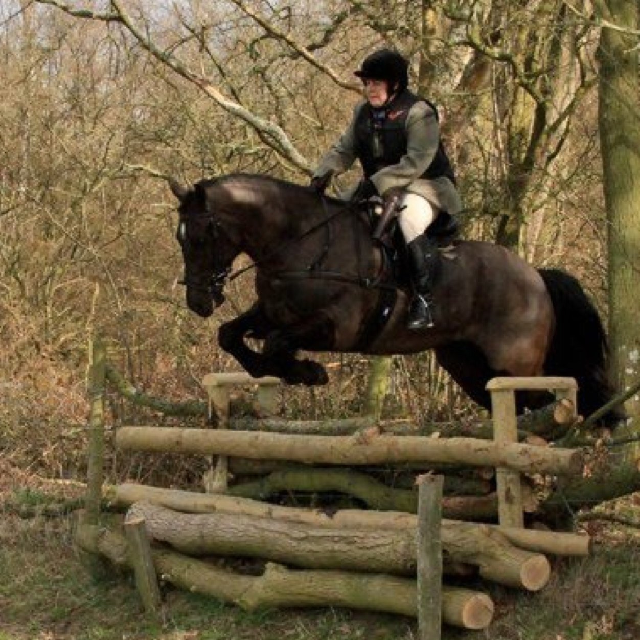 avidhorsewoman's profile picture. Question everything? Think 4 Yourself! Be Kind. Be Happy! 🥰Former TV producer. Landlord. Livery Stables Proprietor. Media Luvvy