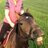 smee0703's profile image