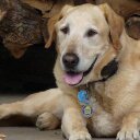 Pat Ellison - @johnbpatPat - Twitter