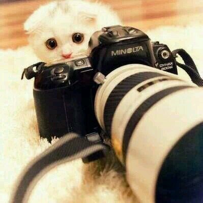 mohamedsaidsamy's profile picture. 