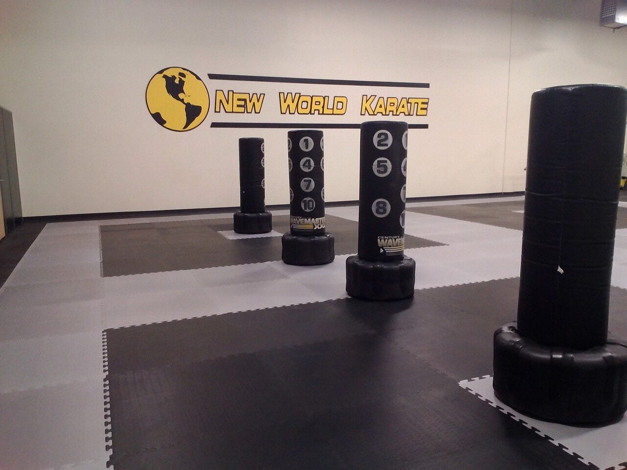 newworldkarate's profile picture. 