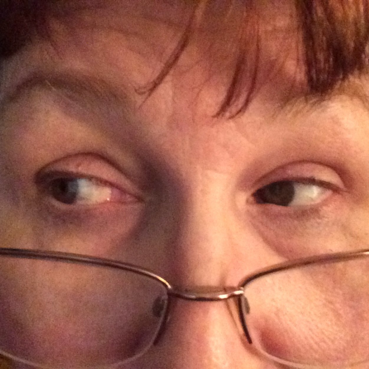 luapnob's profile picture. 