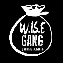 W.IS.E GANG serves as conglomerate, Sole Proprietor Entity that primarily focuses on the Mentorship of youths.