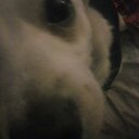 Julio Rose - @jRose99 - Twitter