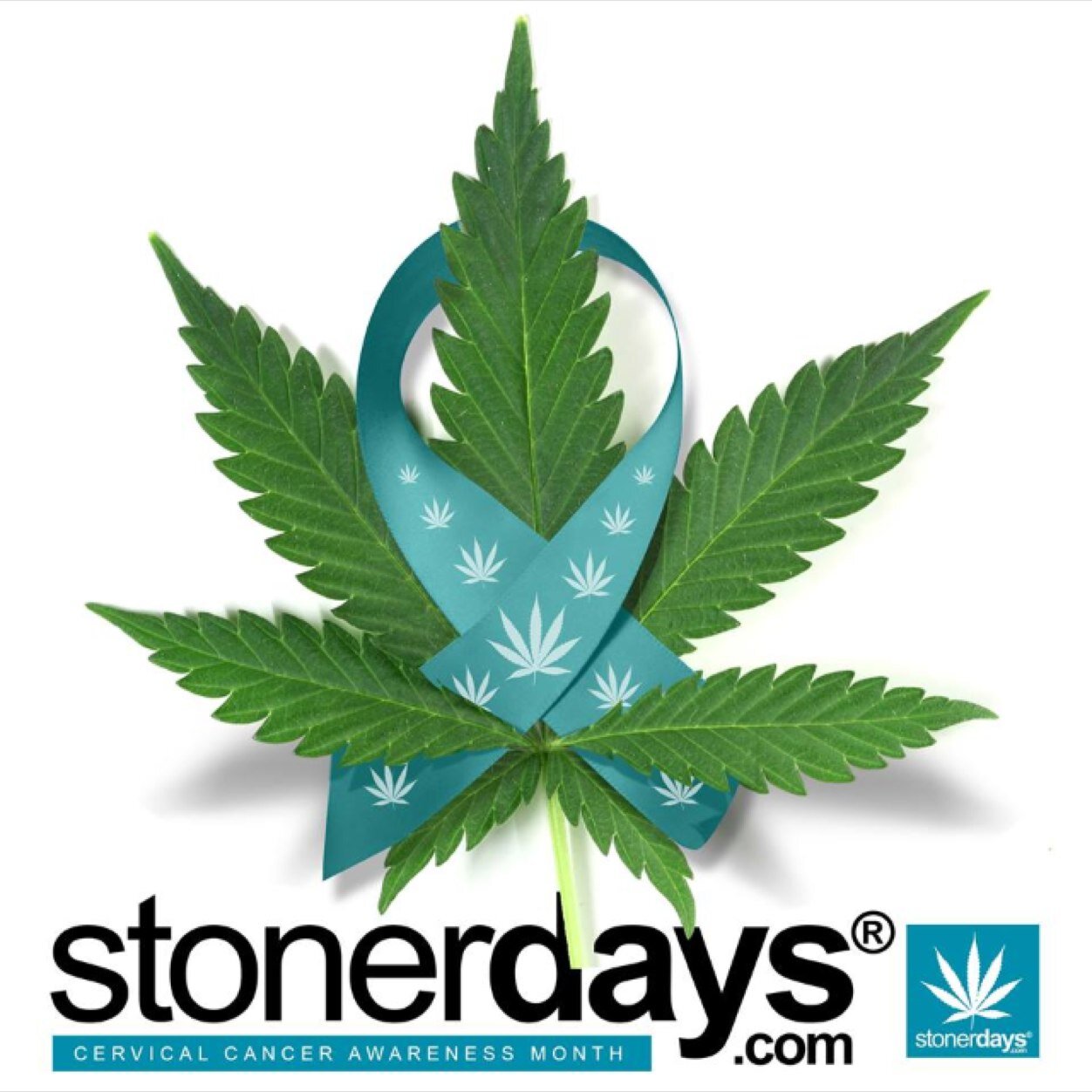 Stoner_Days's profile picture. Wake , Bake , Eat , sleep , Laugh and love -Stoner_Days