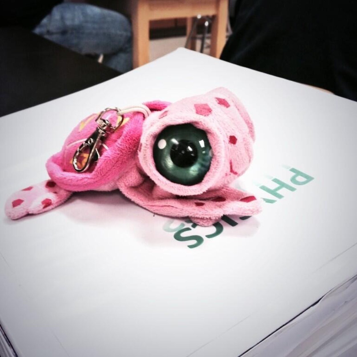 turtly_'s profile picture. turtle life