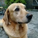 Maria Granada - @maria_mafegraro - Twitter