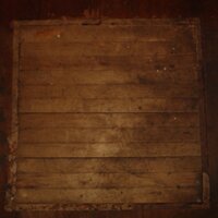 Steven Purtill (@s_purtill) 's Twitter Profile