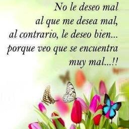 darioska8's profile picture. 