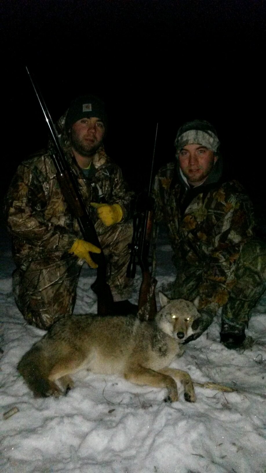 dindy101's profile picture. 