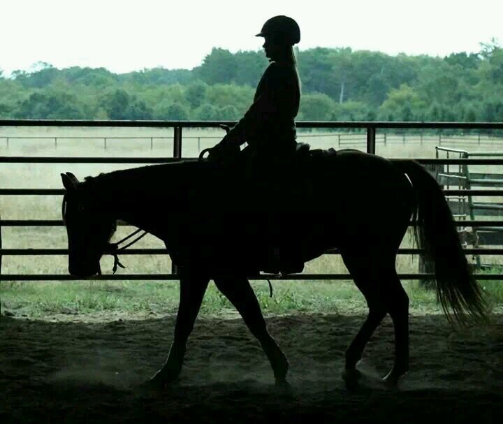 Country girl from the north. ridin horses and kickin ass. #TeamFord #RealtreeGirl Avi is me cover is not.