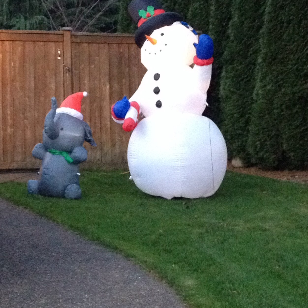 RoscoeChallenge's profile picture. 