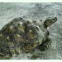 Donald Gross - @donaldgrossfl - Twitter