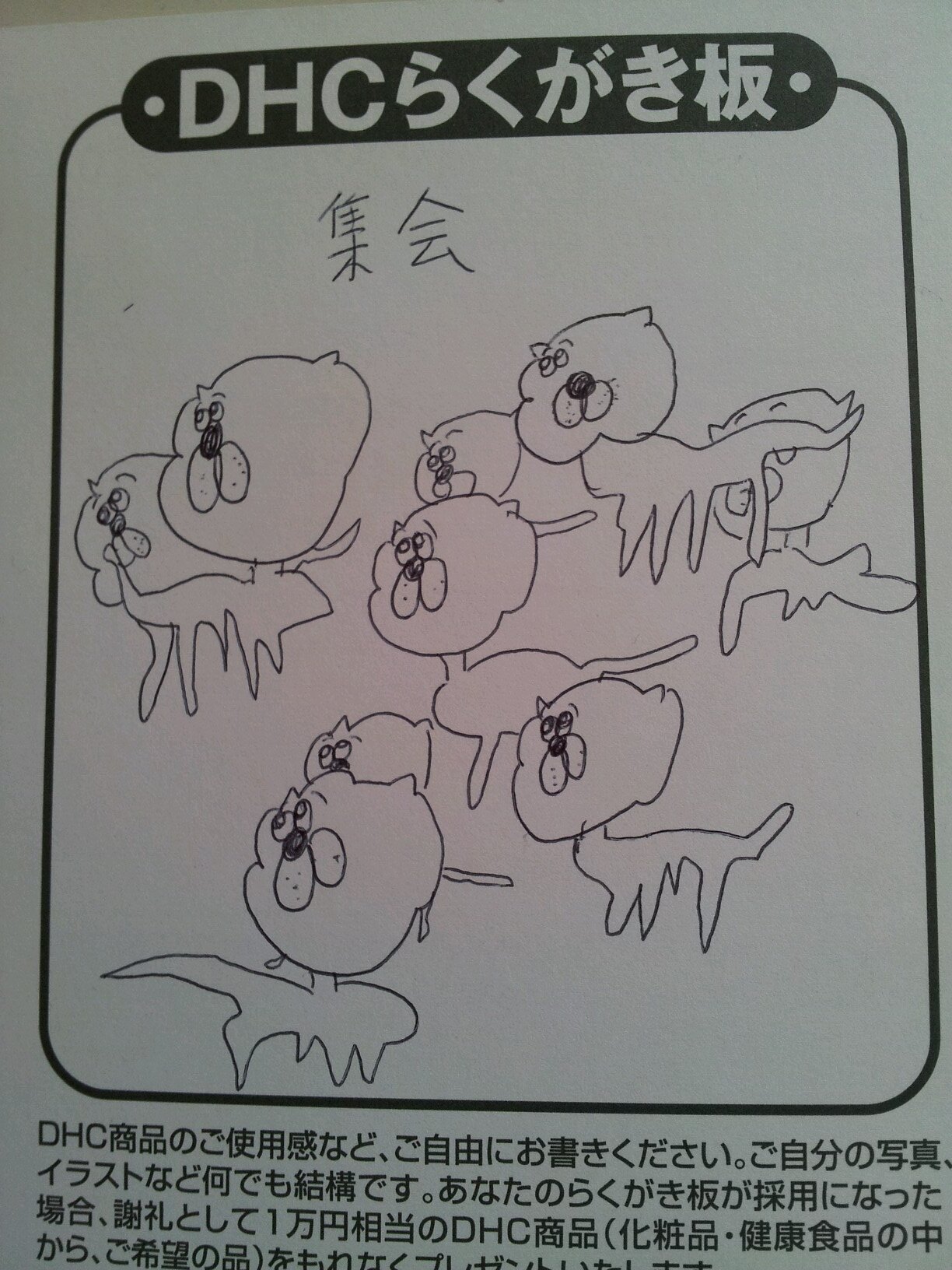 音楽が大好きです!楽器全く弾けないけどね！