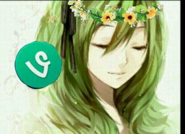 Do it for the vine u bitch #YoloSwag | in love with Insta Instagram ily ~♡♥ if u touch him ill beat u with a banana