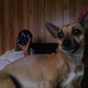 Ashley Sellars - @ashleysell33 - Twitter