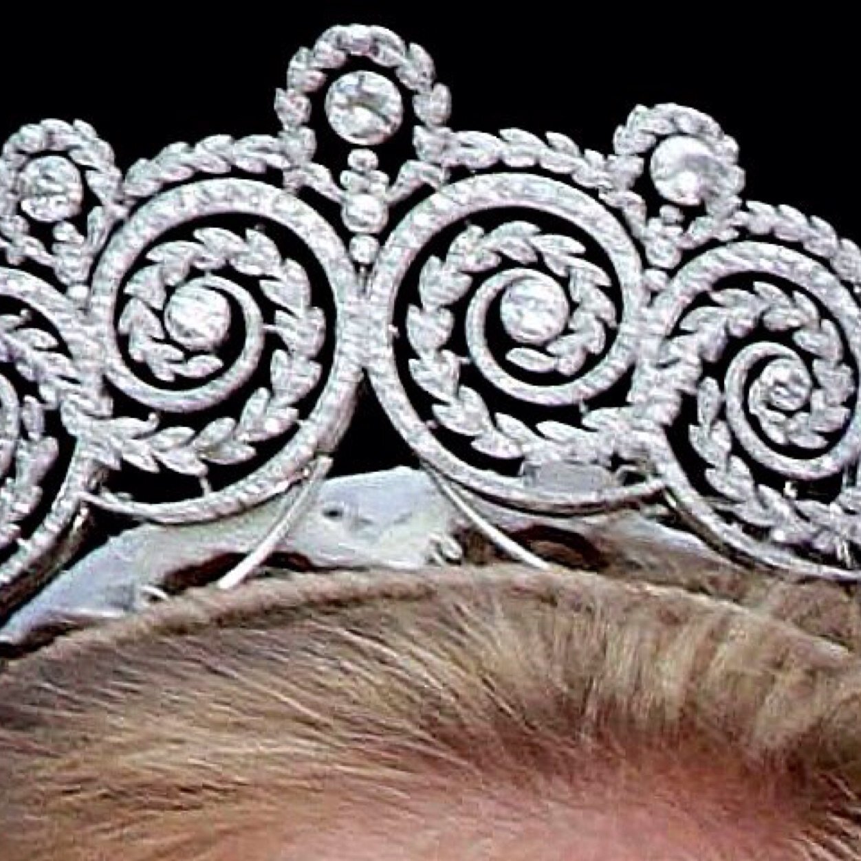 Ivy League princess. Athlete. Wine gang. Mensa International.
