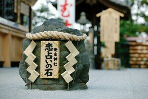 今時の占いは種類が豊富でよく当たる！？ 占い情報をつぶやいています！