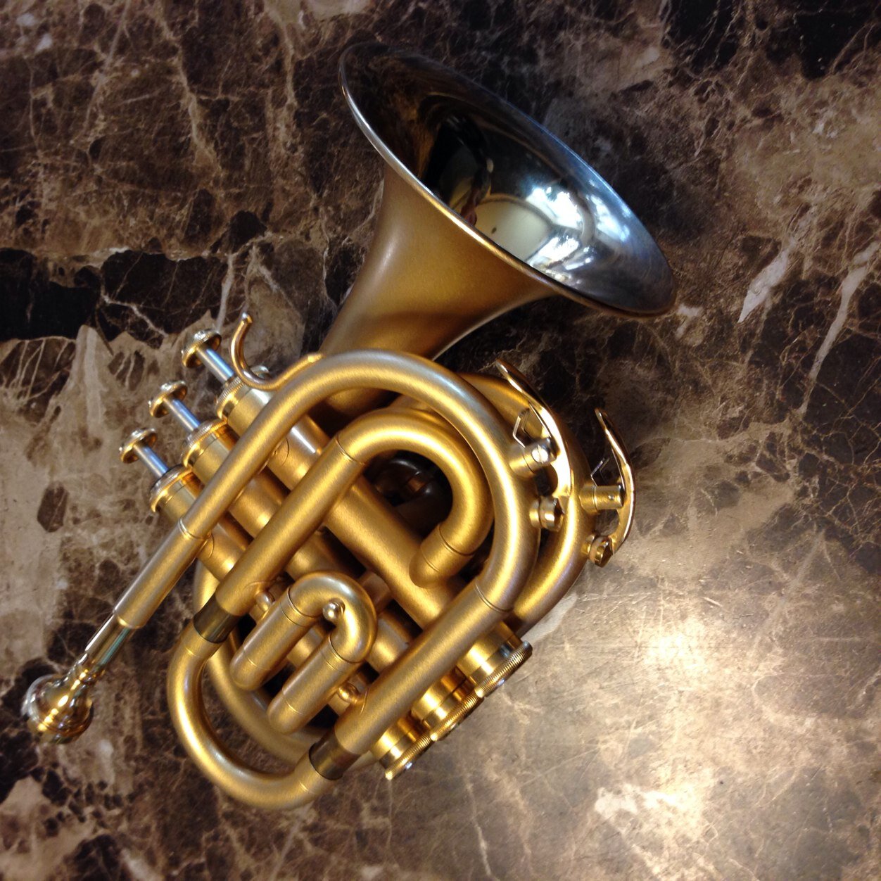 isawo1316's profile picture. 小下　公　日本学校ジャス教育協会　東京都吹奏楽連盟
　　　　　スーパーシニア音楽団「樂悠」Horn（trumpet）