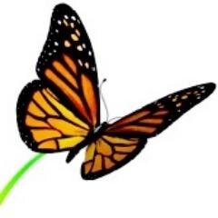 it's about getting better
Vicki Walls, LPC- Founder/Executive Director
Tiffany Hutchins, LPC-Founder/Chief Operating Officer