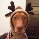 Kris abbott - @Abbott104 - Twitter