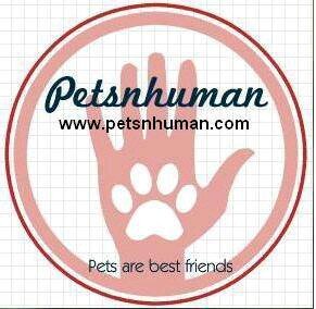 one stop shop for all pet supplies at wholesale rates.