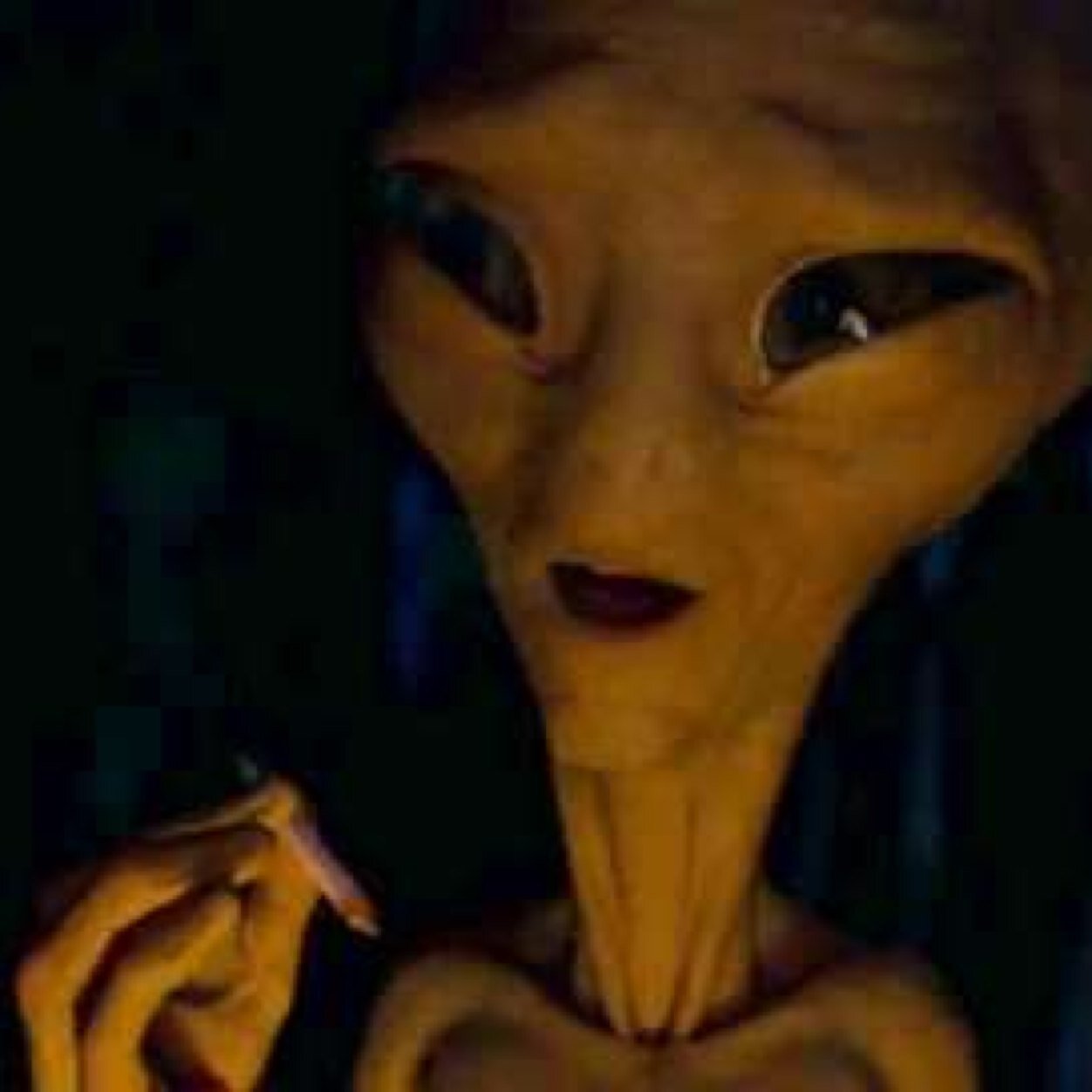 skunkzilla123's profile picture. #high #amsterdam