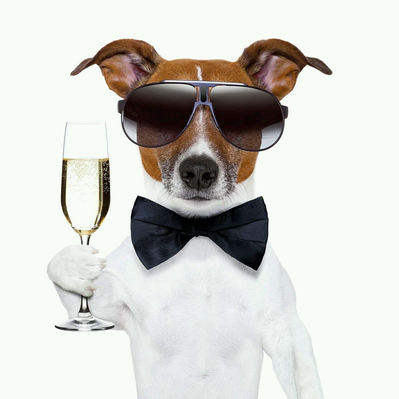 blackdeath144's profile picture. 