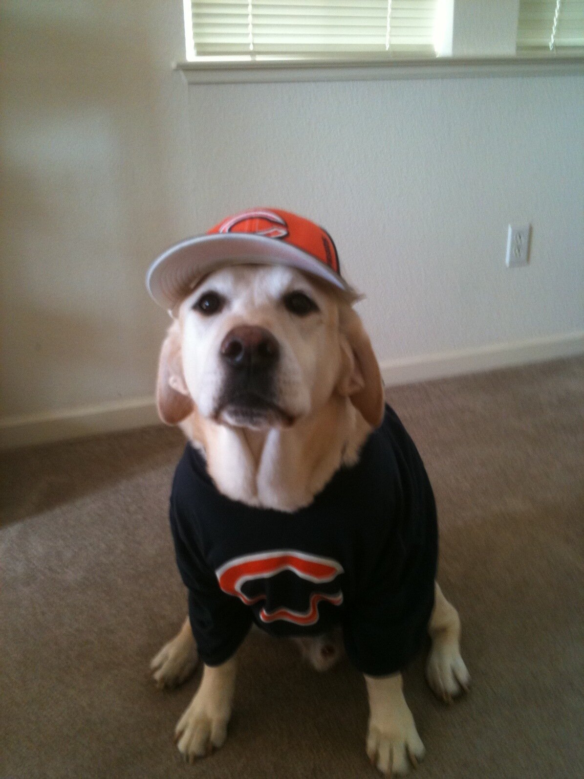 Espn 1000 fan,957 the game SF fan,Bears, cubs, and Raider fan. AFL kid,Chicago native. F1 fan, Dubs fan.