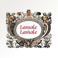 LamoleDiLamole's profile picture. Nei nostri vini il sole, la roccia, il bosco, la brezza, il silenzio, la natura, il crepuscolo, il Sangiovese di un meraviglioso balcone del Chianti Classico