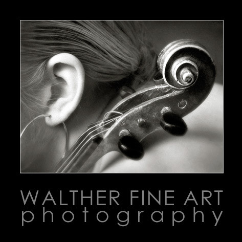 WaltherFineArt's profile picture. International Fine Art Photographer