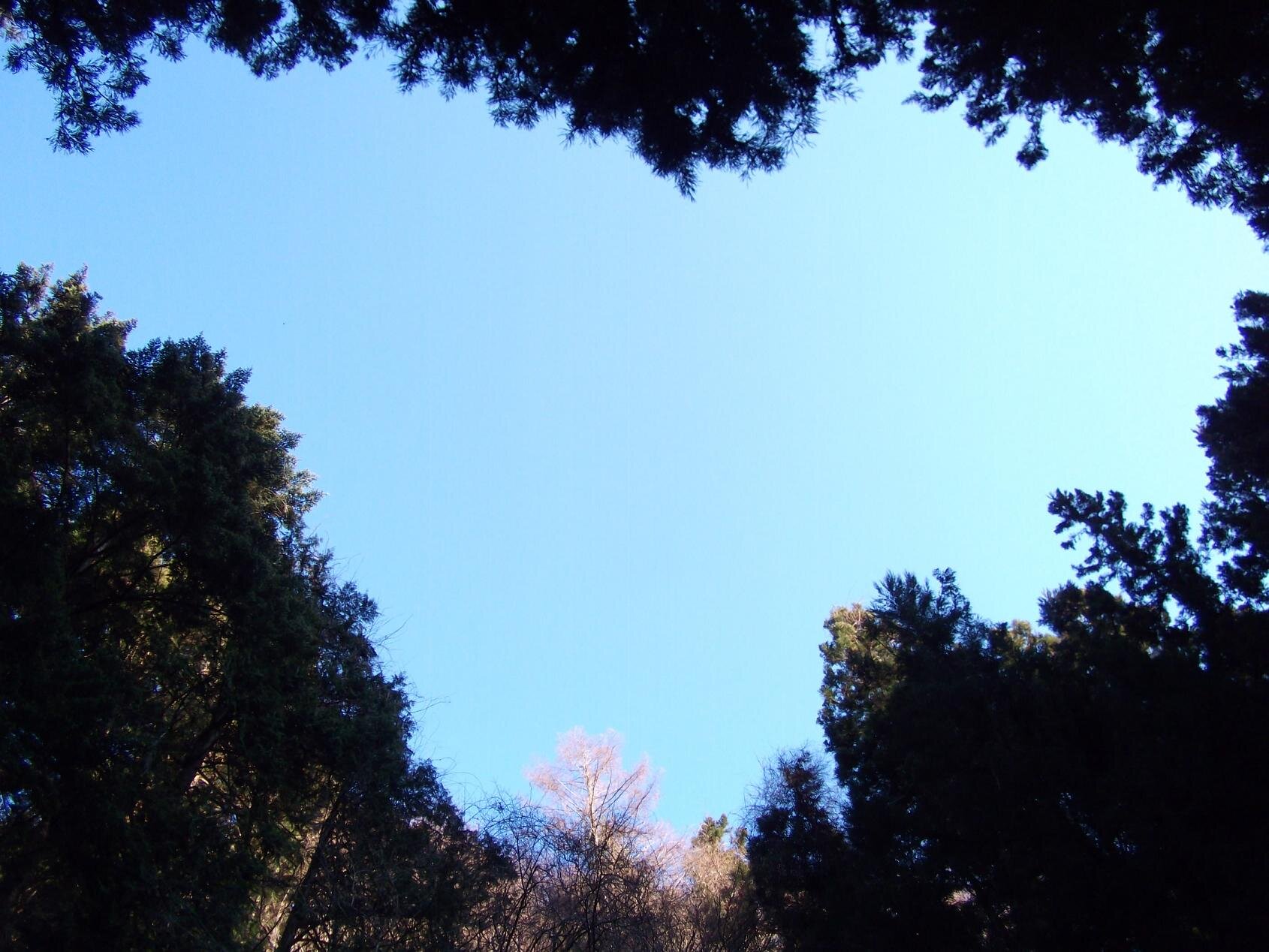 sorahaato's profile picture. 下ばかり向いていないで上を見てみると、ああスバラシイ眺めじゃないかー！っていうスタンスで生きていきたいです。