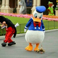 A (@onaka_suita_n_a) 's Twitter Profile