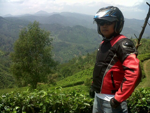 1v4n4persie's profile picture. 