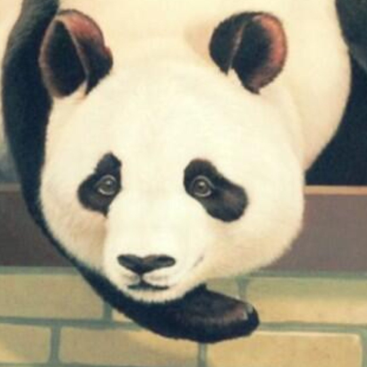 flypanda0517's profile picture. パンダ好き。猫好き。インチキソーイングを少々。