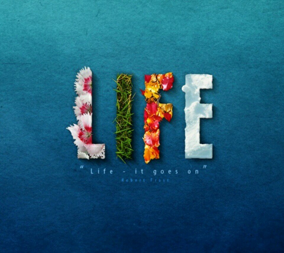 nomester2820's profile picture. 