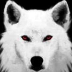 daniele_vinci5's profile picture. AdP10 UNICO CAPITANO MI MANCHI CAMPIONE! Onnivoro di sport, Calcio su tutti! Scrittore per passione #FinoAllaFineForzaJuventus   skype:il_lupo_dagli_occhi_rossi