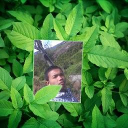 never give up, not a victory that means but the desire to win