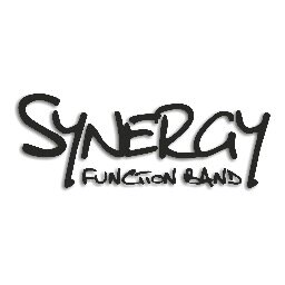 synergyfuncband's profile picture. Providing Live Entertainment for Weddings, Corporate Events, Private Parties & Balls.
