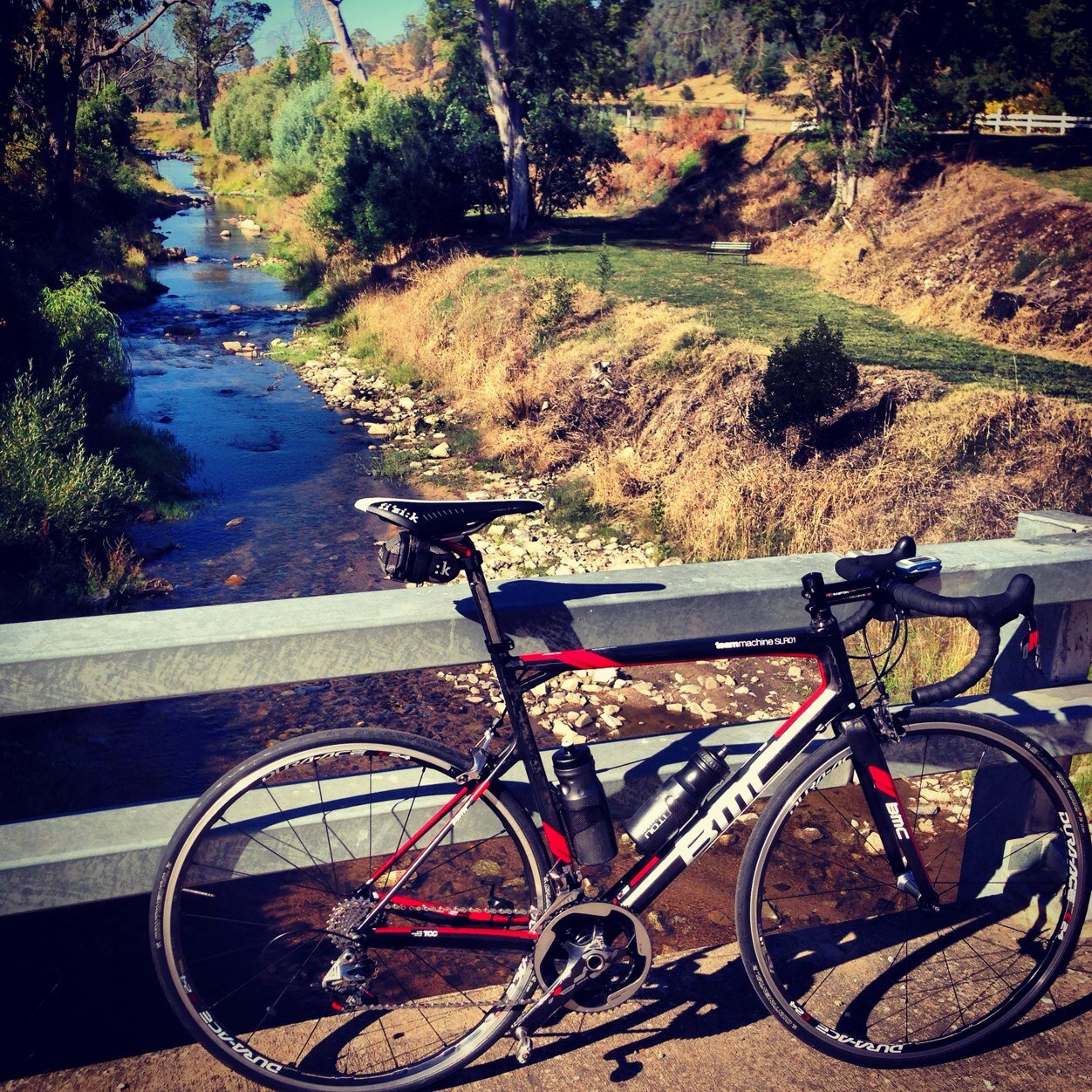 stevo_wilso's profile picture. 