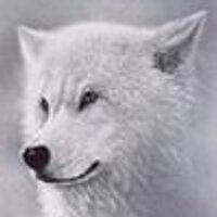 Gerald Wolf (@lucoire) 's Twitter Profile