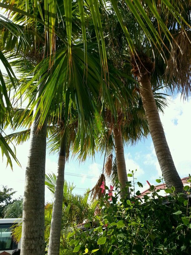 gusutav15's profile picture. 元レイヴンでしたー♪
最近はff14を仲間たちと楽しくやってます！
仲良くしてくださいねー(^^)