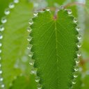 Tracy Ong - @crazygirl100001 - Twitter