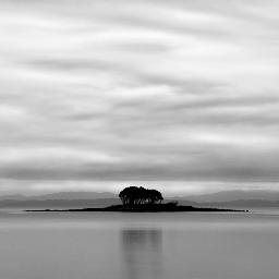 Ridds65's profile picture. 