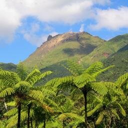 SeriousJamil's profile picture. 